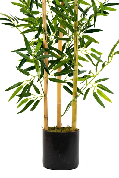 YAPAY ÇİÇEKÇİNİZ Yapay Yoğun Yapraklı Dekoratif Bambu Ağacı 3 Gövde 120cm - 7