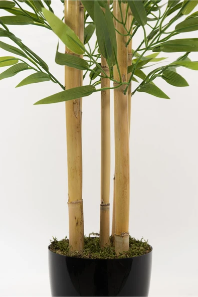 YAPAY ÇİÇEKÇİNİZ 5 Gövdeli Yoğun Yapraklı 100 cm Yapay Bambu Ağacı - Resim 3
