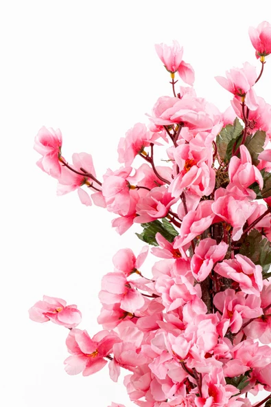 Taş Detaylı Siyah Saksıda 60 Cm Yoğun Yapraklı Yapay Benjamin Ağacı - Resim 8