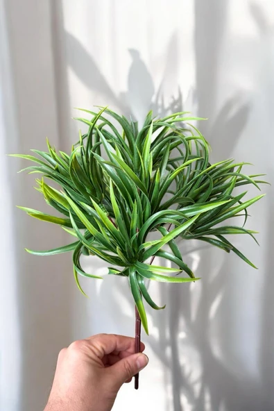 YAPAY ÇİÇEKÇİNİZ 9 KAFALI 5 DALLI YAPAY SUKULENT KAKTÜS ALOEVERA DEMETİ - Resim 3