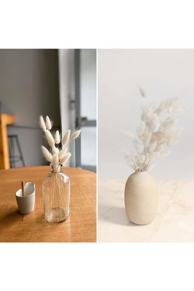 YAPAY ÇİÇEKÇİNİZ Doğal Kurutulmuş Pamuk Otu, Tavşan Kuyruğu Gelin Buketi Aranjman Çiçeği Lagurus 60 Dal - 3