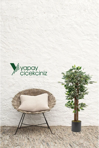 YAPAY ÇİÇEKÇİNİZ Gri Saksıda 100 Cm Yeşil Beyaz Yapay Benjamin Ağacı - Resim 6