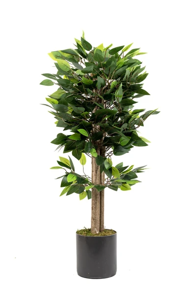 YAPAY ÇİÇEKÇİNİZ Gri Saksıda Yoğun Yapraklı Yapay Benjamin Ağacı ürün görseli