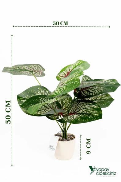 Taş Detaylı Beyaz Saksıda 12 Yapraklı 50 cm Yapay Salon Çiçeği ürün görseli 1