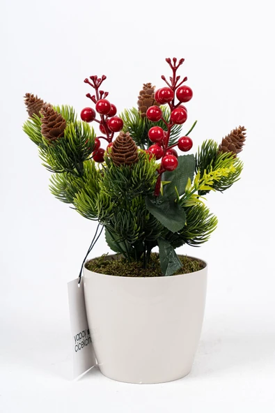 Saksıda Kokina Tanzimli Yapay Yılbaşı Çiçeği - Resim 10