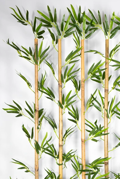 YAPAY ÇİÇEKÇİNİZ 170 Cm Bambu Seperatör - Resim 2