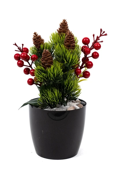 Saksıda Kokina Tanzimli Yapay Yılbaşı Çiçeği - Resim 2