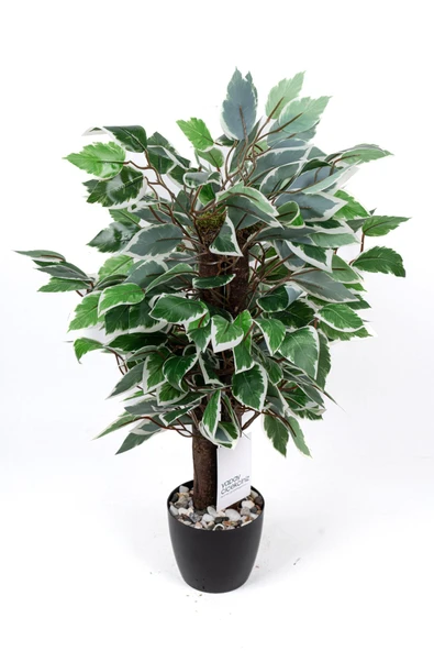 Taş Detaylı Siyah Saksıda Yoğun Yapraklı Yapay Dekor Yeşillik Demeti - Resim 4