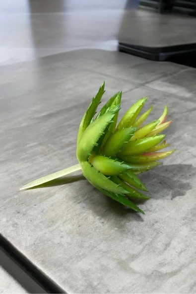 Yapay Sukulent Kaktüs - Resim 4