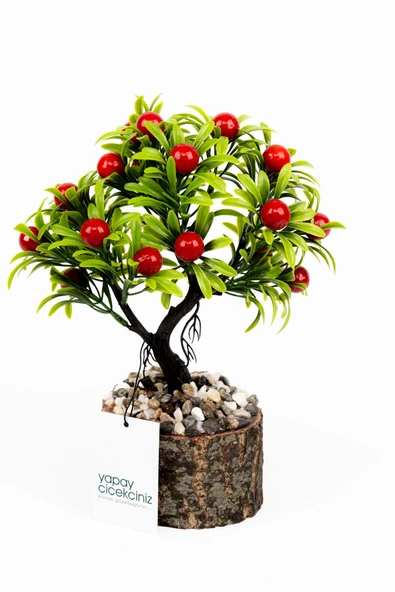 Taş Detaylı Odun Saksıda Yapay Bonsai Ağacı - 11