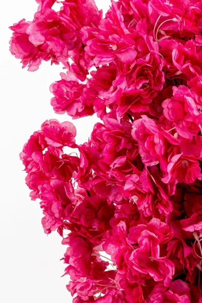 Taş Detaylı Siyah Saksıda 60 Cm Yoğun Yapraklı Yapay Benjamin Ağacı - Resim 2