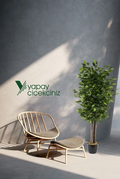 YAPAY ÇİÇEKÇİNİZ Siyah Saksıda Yoğun Yapraklı 100 Cm Yapay Benjamin Ağacı - Resim 3
