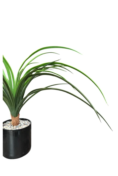 YAPAY ÇİÇEKÇİNİZ TAŞ KAPLI SİYAH RENKLİ SAKSIDA 55 CM YAPAY YUKA AĞACI - Resim 8