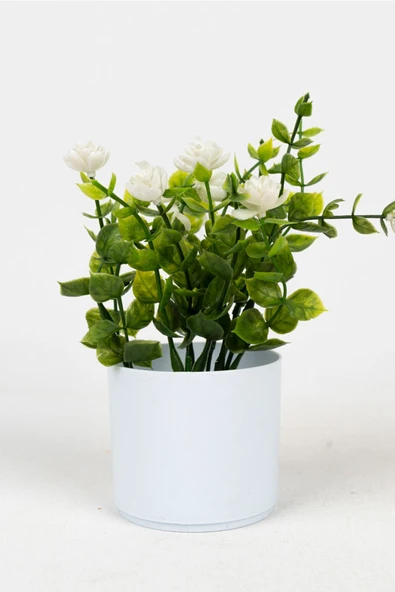 Beyaz Mini Saksıda Yapay Çiçek - Resim 10
