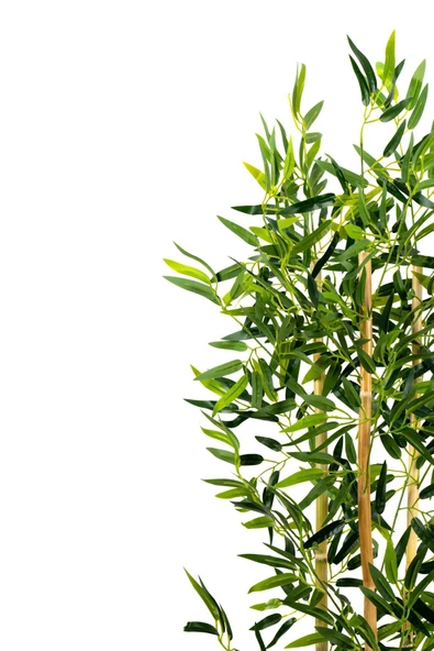 YAPAY ÇİÇEKÇİNİZ Yapay Yoğun Yapraklı Dekoratif Bambu Ağacı 3 Gövde 120cm - 6