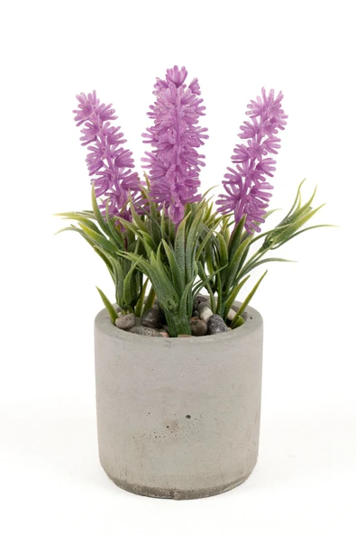 YAPAY ÇİÇEKÇİNİZ GRİ BETON SAKSIDA PEMBE RENKLİ YAPAY LAVANTA DEMETİ ürün görseli