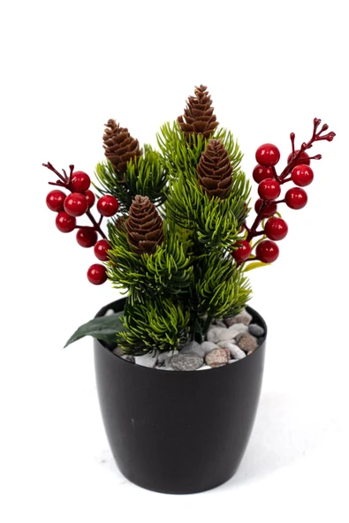 Saksıda Kokina Tanzimli Yapay Yılbaşı Çiçeği - Resim 5