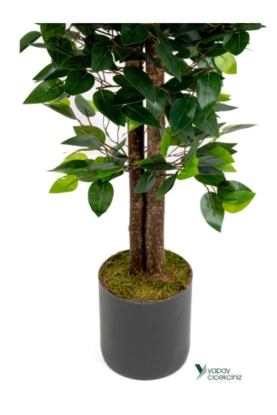 YAPAY ÇİÇEKÇİNİZ 2 Adet Gri Saksıda Çim Detaylı 100 Cm Yapay Benjamin ve Yapay Bambu Ağacı - Resim 4