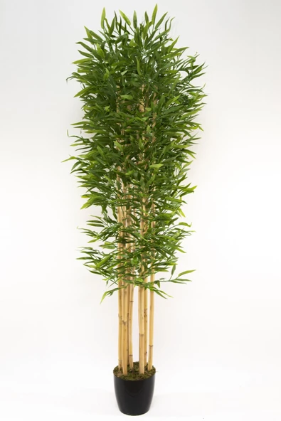 YAPAY ÇİÇEKÇİNİZ 7 Gövdeli Yoğun Yapraklı 180 Cm Yapay Bambu Ağacı ürün görseli 1
