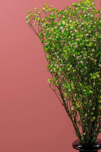 YAPAY ÇİÇEKÇİNİZ Şoklanmış Cipso Demeti Yeşil ürün görseli 1