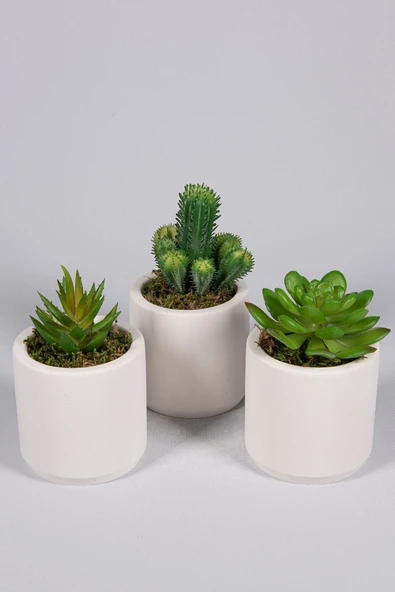 YAPAY ÇİÇEKÇİNİZ Beyaz Seramik Saksıda 3 Lü Kaktüs Set (SUKULENT KAKTÜS TÜRLERİ DEĞİŞİKLİK GÖSTERMEKTE) ürün görseli 1