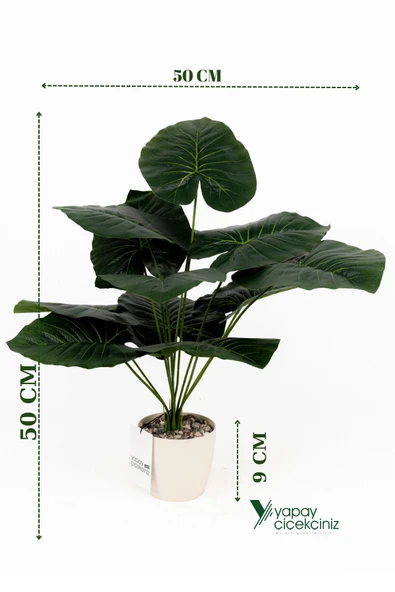 Taş Detaylı Beyaz Saksıda 12 Yapraklı 50 cm Yapay Salon Çiçeği - Resim 11