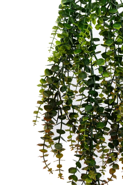 YAPAY ÇİÇEKÇİNİZ Yapay Dekor Sarmaşık - Resim 3