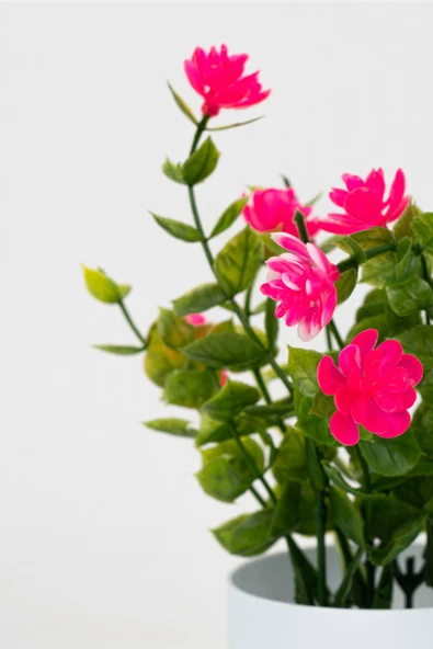 Beyaz Mini Saksıda Yapay Çiçek - Resim 8