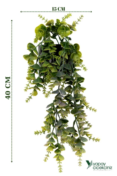 Yapay Çiçek Siyah Renkli Saksısında Taş Detaylı Yeşil Okaliptus Sarkıtı - Resim 5