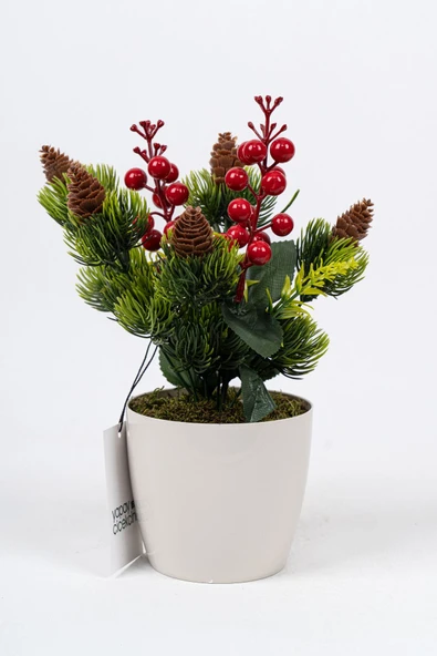 Saksıda Kokina Tanzimli Yapay Yılbaşı Çiçeği - Resim 7