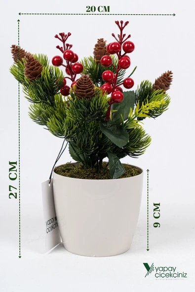 Saksıda Kokina Tanzimli Yapay Yılbaşı Çiçeği - Resim 6