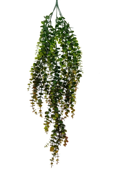 YAPAY ÇİÇEKÇİNİZ Yapay Dekor Sarmaşık - Resim 2