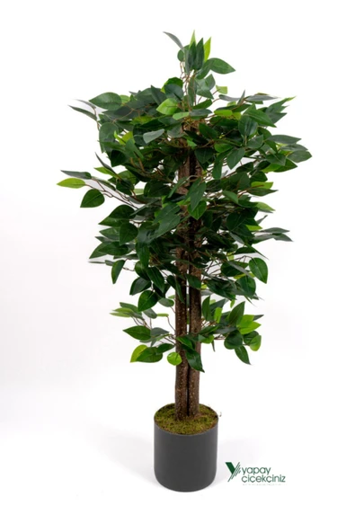 YAPAY ÇİÇEKÇİNİZ 2 Adet Gri Saksıda Çim Detaylı 100 Cm Yapay Benjamin ve Yapay Bambu Ağacı - Resim 2