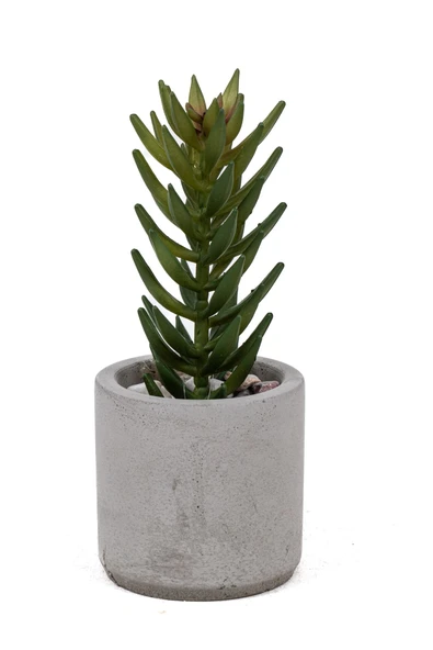 Beton Saksıda Yapay 3'lü Kaktüs Seti - 3