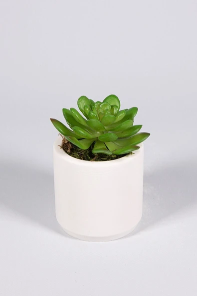 YAPAY ÇİÇEKÇİNİZ Beyaz Seramik Saksıda 3 Lü Kaktüs Set (SUKULENT KAKTÜS TÜRLERİ DEĞİŞİKLİK GÖSTERMEKTE) - Resim 3