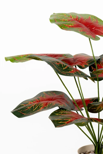 Taş Detaylı Beyaz Saksıda 12 Yapraklı 50 cm Yapay Salon Çiçeği - Resim 7