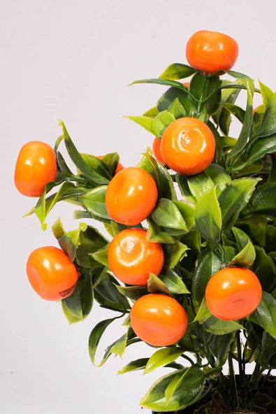 YAPAY ÇİÇEKÇİNİZ Siyah Saksıda Yapay Mandalina Ağacı - Resim 2