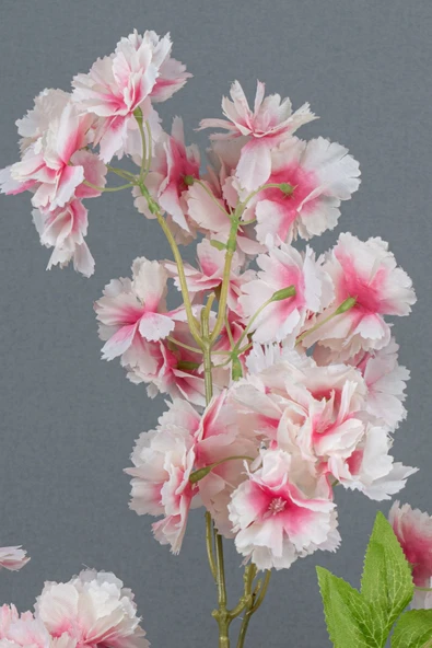 Yapay Lüks Bahardalı - Resim 12