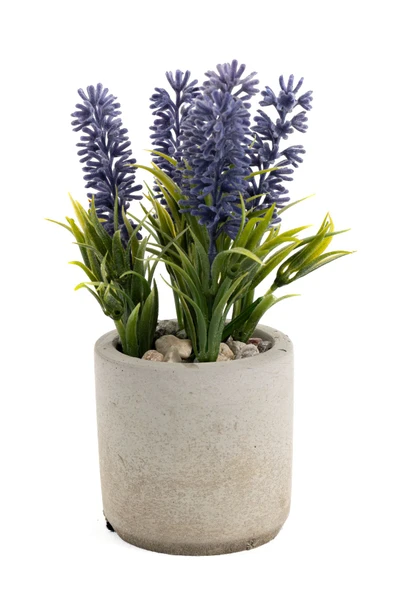 GRİ BETON SAKSIDA MOR RENKLİ YAPAY LAVANTA DEMETİ ürün görseli 1