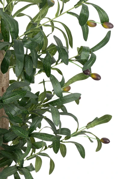 YAPAY ÇİÇEKÇİNİZ Siyah Saksıda 100 Cm Yapay Zeytin Ağacı - Resim 2