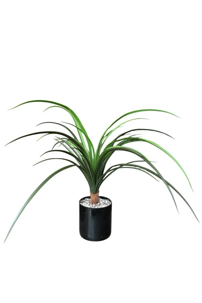 YAPAY ÇİÇEKÇİNİZ TAŞ KAPLI SİYAH RENKLİ SAKSIDA 55 CM YAPAY YUKA AĞACI ürün görseli