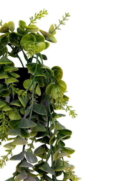 Yapay Çiçek Siyah Renkli Saksısında Taş Detaylı Yeşil Okaliptus Sarkıtı - Resim 7