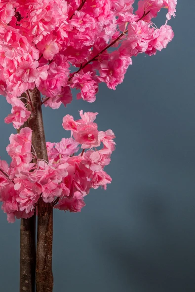 120 Cm Lüks Pembe Bahardalı Ağacı - 3