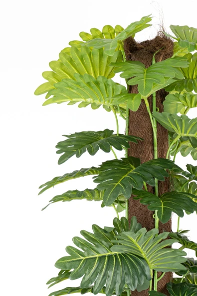 YAPAY ÇİÇEKÇİNİZ YAPAY MONSTERA AĞACI 150 CM - Resim 2