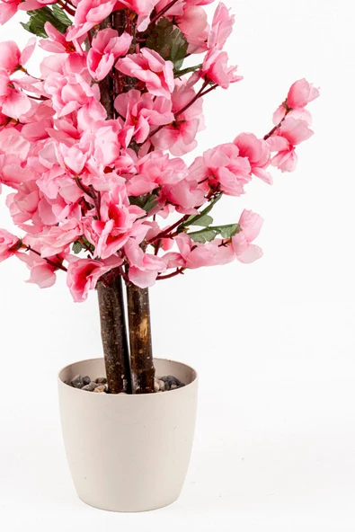 Taş Detaylı Siyah Saksıda 60 Cm Yoğun Yapraklı Yapay Benjamin Ağacı - Resim 9