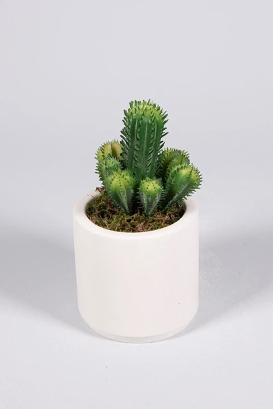 YAPAY ÇİÇEKÇİNİZ Beyaz Seramik Saksıda 3 Lü Kaktüs Set (SUKULENT KAKTÜS TÜRLERİ DEĞİŞİKLİK GÖSTERMEKTE) - Resim 2