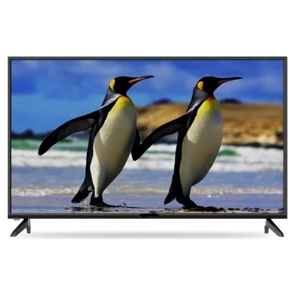 BL32225 32" 82 Ekran Uydu Alıcılı Smart LED TV