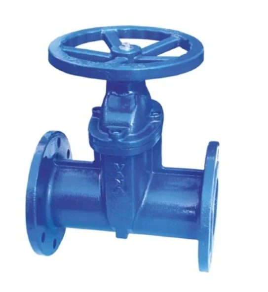 Klepsan 1171 Elastomer Sürgülü Vana F5 Gg40 - 1