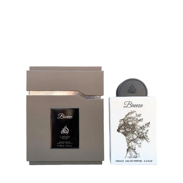 Lattafa Breeze 100ml - 2