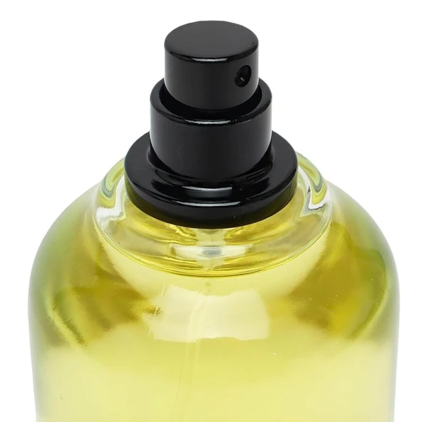 Maison Alhambra Jean Lowe İmmortel 100ml - 2